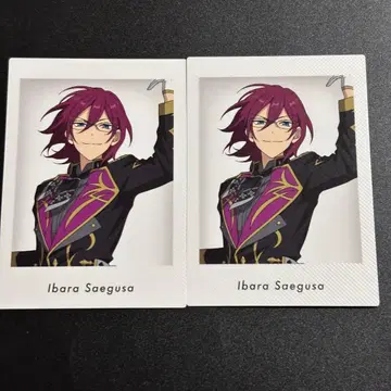 앙스타 10주년 전시회 특전 파샤츠 사에구사 이바라 2장