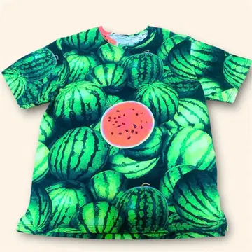 go slow caravan 수박 올 패턴 반팔 티셔츠