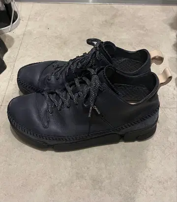 클락스 트라이제닉 드라이 GTX 잉크 가죽