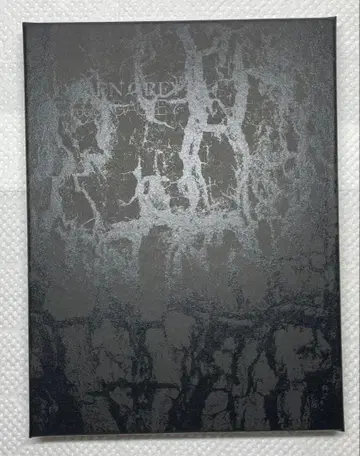 DIRENGREY mode of 'GAUZE'? 노한