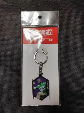 100M. 리프 키링 해당