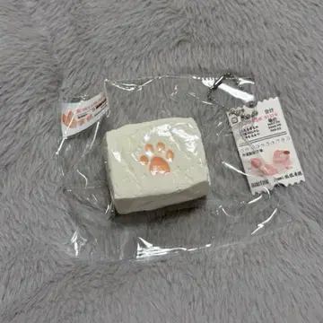 칸칸 칸칸은 칸예 카앙카앙 kankan 육구 스퀴즈 주물럭