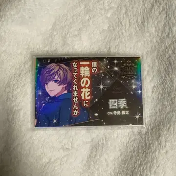 파라라이 호스트 명함 야미도 시키