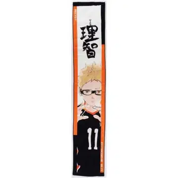 츠키시마 케이 이치 타월