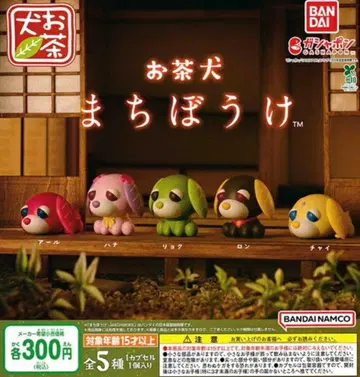 오차이누 기다림 캡슐 토이 5종 세트