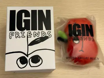 BTS JIN 진 IGIN 콜라보 키링 3