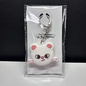 미개봉 새상품 스키즈 전시회 키 커버 지니렛 현진