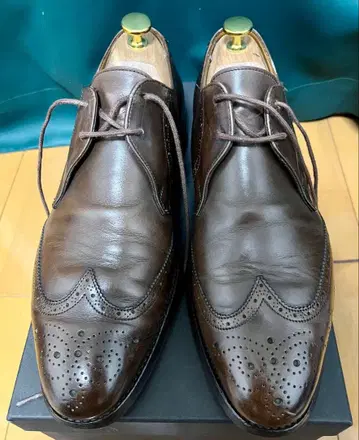 조셉치니 폴스미스 별주 풀 브로그 11028 라스트 7F