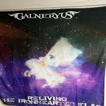 GALNERYUS 갈네리우스 Reliving 태피스트리