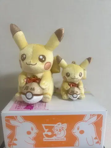피카츄 30주년 기념 봉제 인형 세트