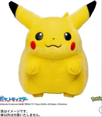 포켓몬 30주년 기념 어서 와! 피카츄 1/1