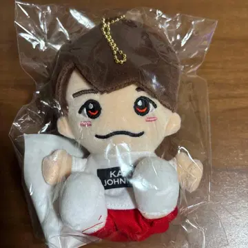 [미개봉 새상품] 니시하타 다이토 치비 누이