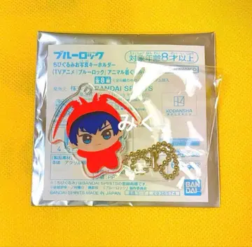 블루 록 이사기 요이치 SD 인형 페스티벌 사진 키링 애니멀 인형옷