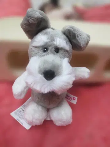 NICI 니키 코인 파우치 슈나우저 정품