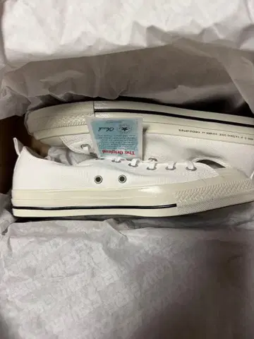 fragment design VA Converse All Star