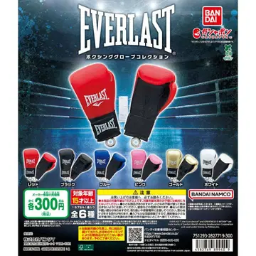 EVERLAST 복싱 그로브 컬렉션 전 6종