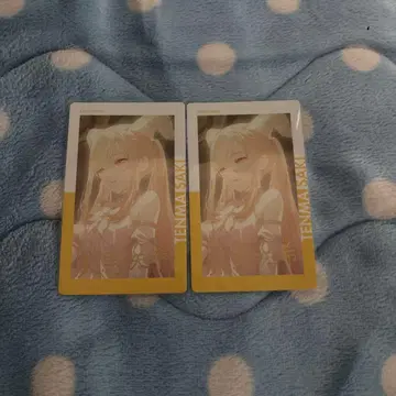 프로세카 에피카 26C 금박 텐마 사키 2점