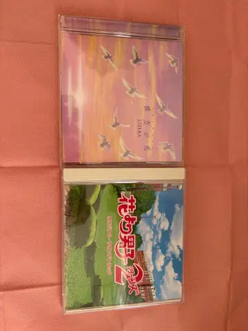 꽃보다 남자 2 오리지널 사운드 트랙