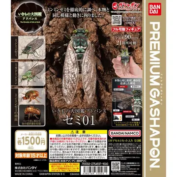 생물대도감 어드밴스 매미01 전 3종 세트