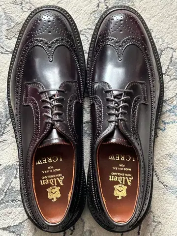 새상품 Alden 975 쉘 코도반 롱 윙 8D