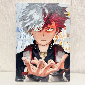 히로아카 토도로키 쇼토 풀컬러 아트 보드