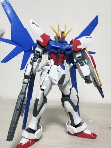 HG 빌드 스트라이크