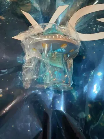 XG 히나타 캡슐 토이