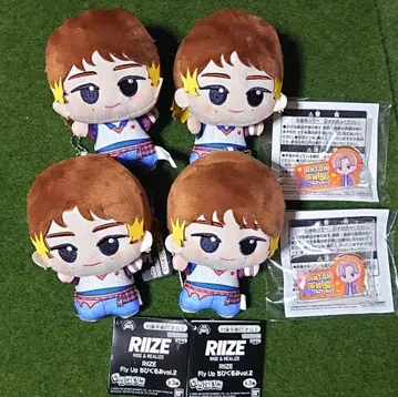 RIIZE Fly Up SD 인형 노스탈팝 앤톤