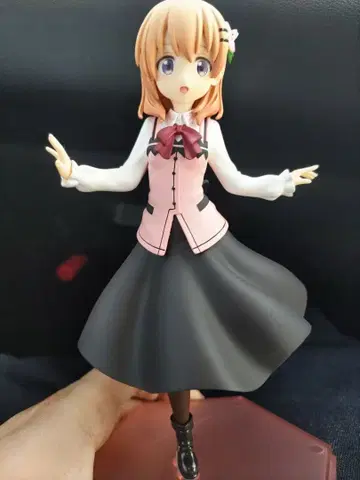 pop up parade 코코아 주문은 토끼입니까?