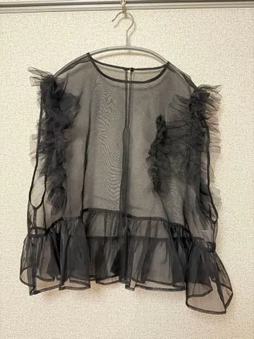 HeRIN.CYE 프릴 달린 시스루 상의 블랙