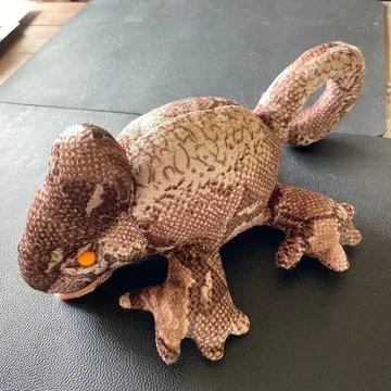 에보시 카멜레온 봉제 인형 완구 파충류