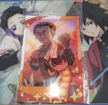 포켓몬 메모리얼 사진 아크릴 아트 패널 카부