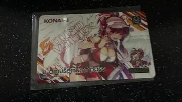 SDVX sound voltex e-amusement pass 레이시스