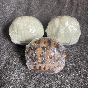 가챠가챠 인도별거북, 그리스육지거북 3개 세트