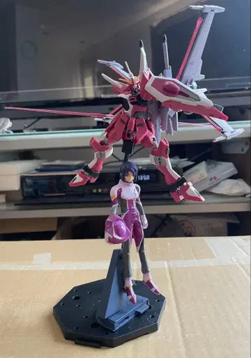 HG 인피니트 저스티스 건담 이식 완성품 아스란 피규어 포함