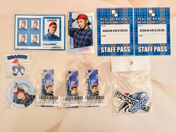 리얼 아키바 보이즈 DRAGON 스티커 씰 세트