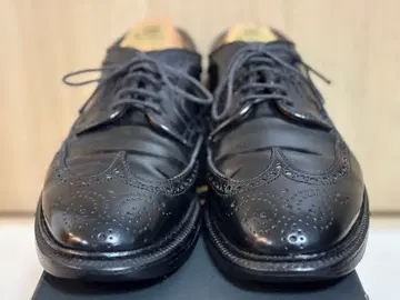 ALDEN 9751 코도반 7.5D 롱윙 블랙