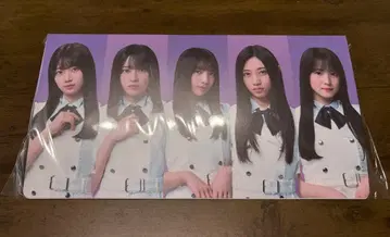 신참자 225 사진 앨범