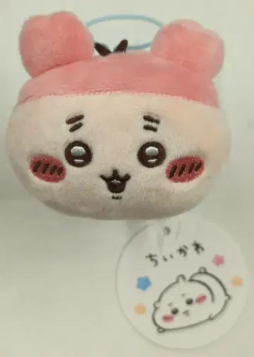 퍼레이드 늘어나는 마스코트 치이카와 (먼작귀) 헌책방