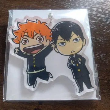 하이큐 스카이트리 아크릴 스트랩 키링 히나타 쇼요 카게야마 토비오