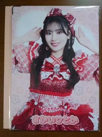 초토키메키 센덴부 랜덤 프리미엄 사진 사카이 히토카