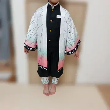 귀멸의 칼날 코쵸우 시노부 의상