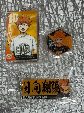 하이큐!! 히나타 쇼요 아크릴 키링