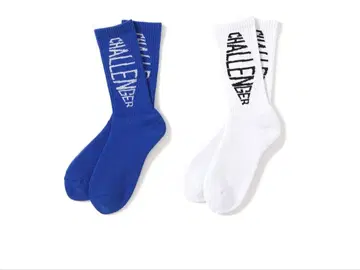 CHALLENGER FISH LOGO SOCKS 챌린저 삭스