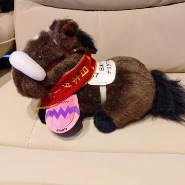 제61회 일본 더비 나리타 브라이언 S 사이즈