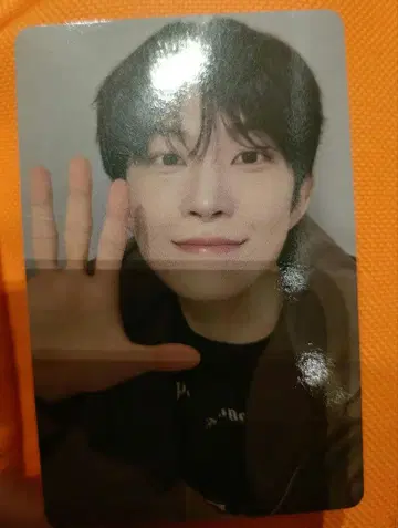 ALPHA DRIVE ONE ald1 고누 C상 오하요 트레이딩 카드