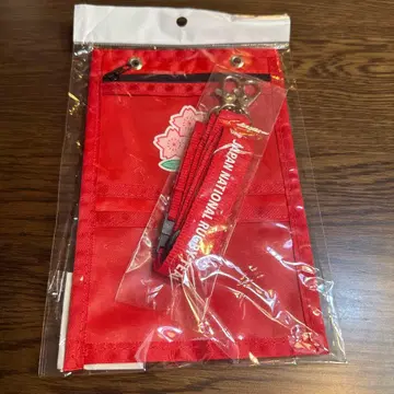 2019년 럭비 W컵 일본 대표 티켓 홀더