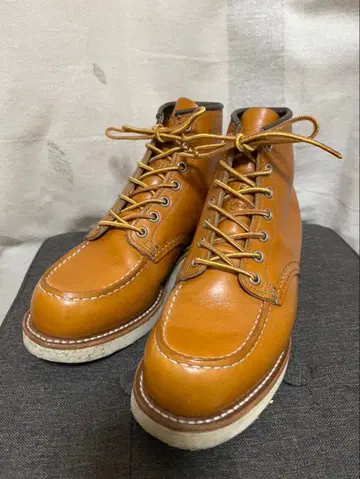 레드윙 9875 아이리쉬 세터 6E