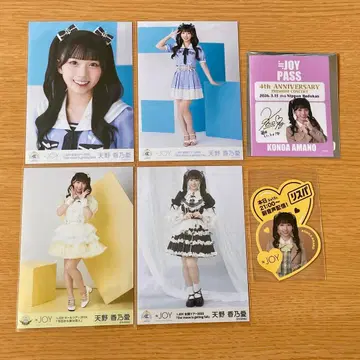 니아 조이 아마노 코노아 묶음 판매