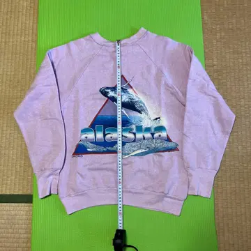 알래스카 수베니어 맨투맨 표기 M 미국제 레어 뒷면 프린트 여성 빈티지